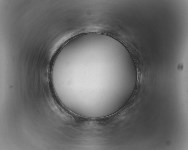 X0000113150244200909251334