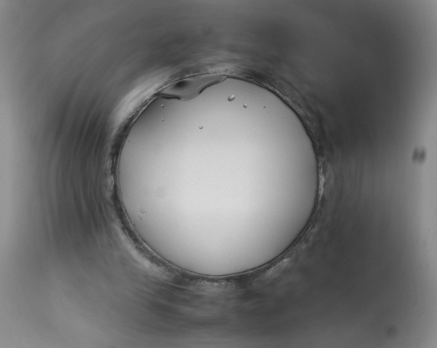 X0000113150245200909251335