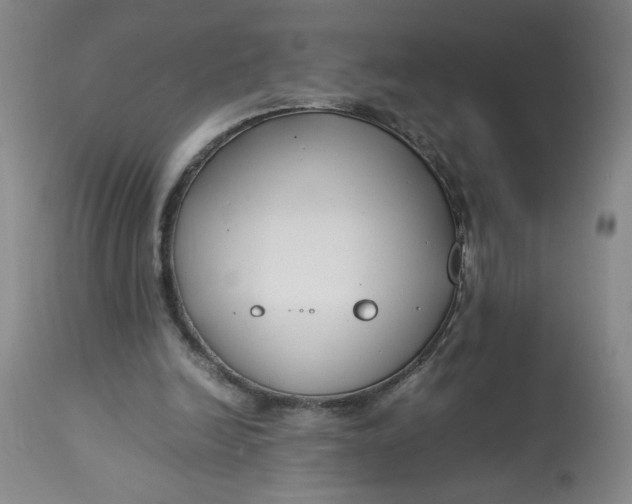 X0000113150246200909251335