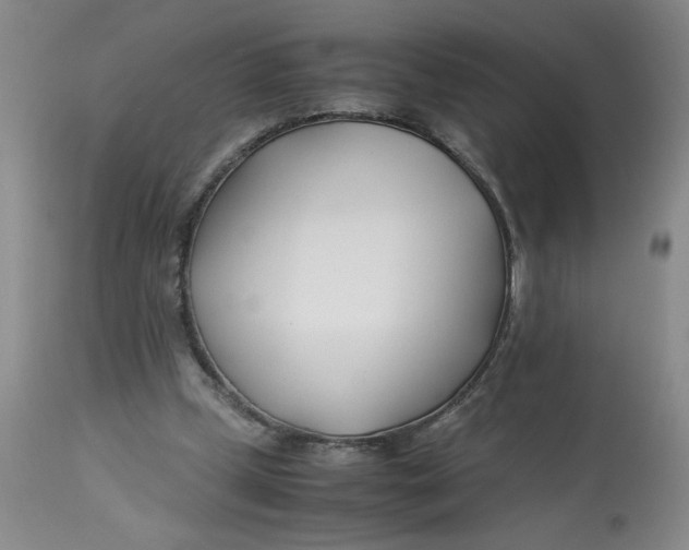 X0000113150249200909251335