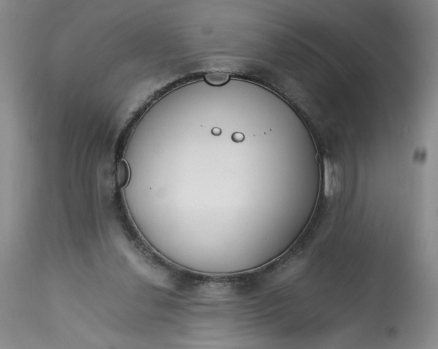 X0000113150252200909251335