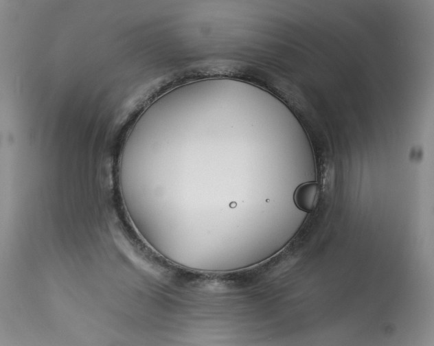 X0000113150254200909251335