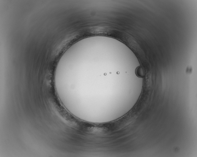 X0000113150255200909251335