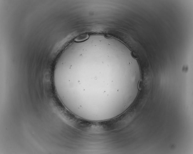 X0000113150256200909251335