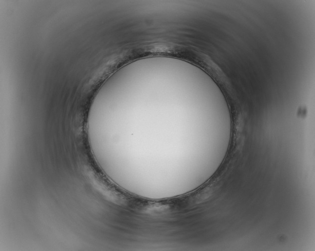 X0000113150257200909251335