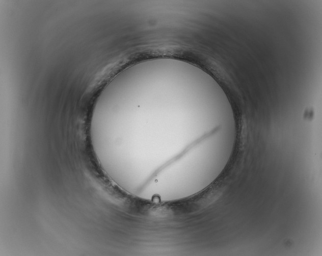 X0000113150258200909251335