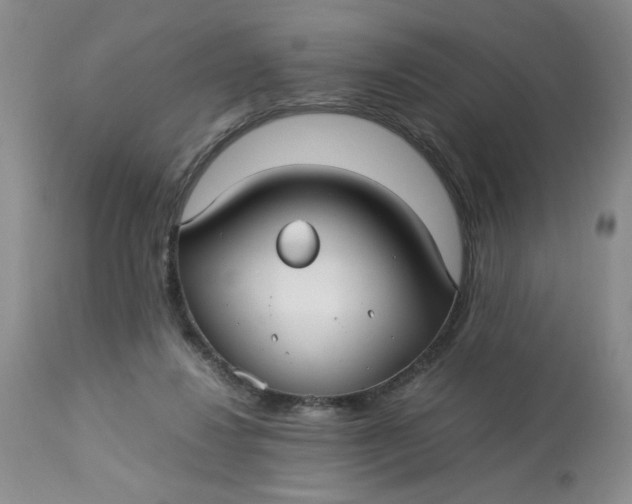 X0000113150260200909251335