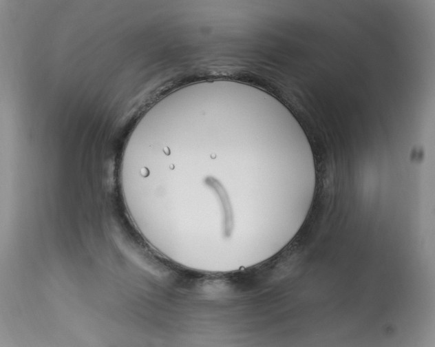 X0000113150262200909251335