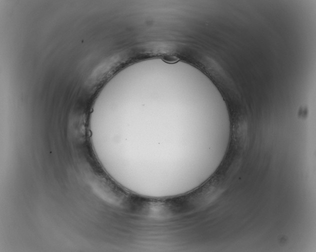 X0000113150264200909251335