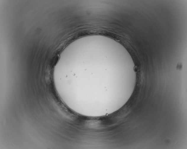 X0000113150266200909251335