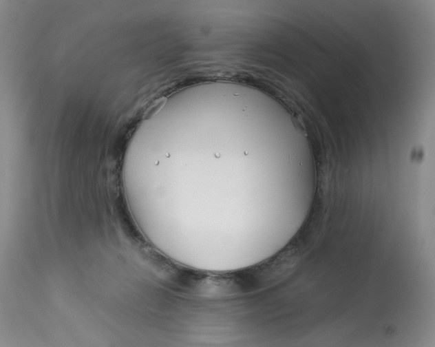 X0000113150270200909251335