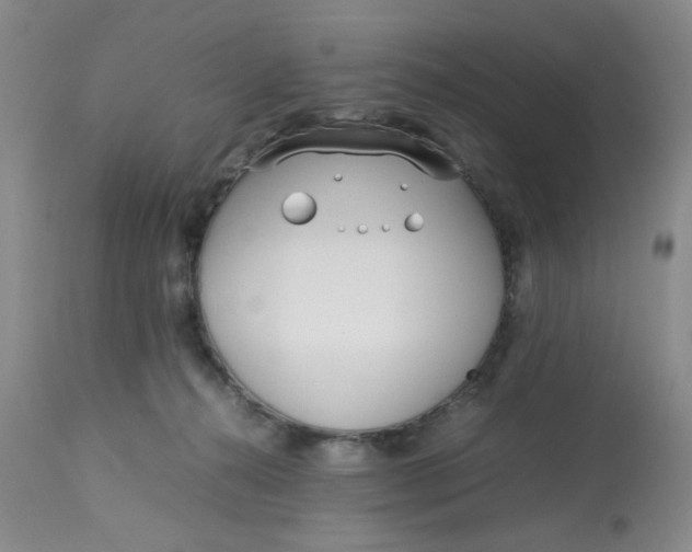 X0000113150272200909251335