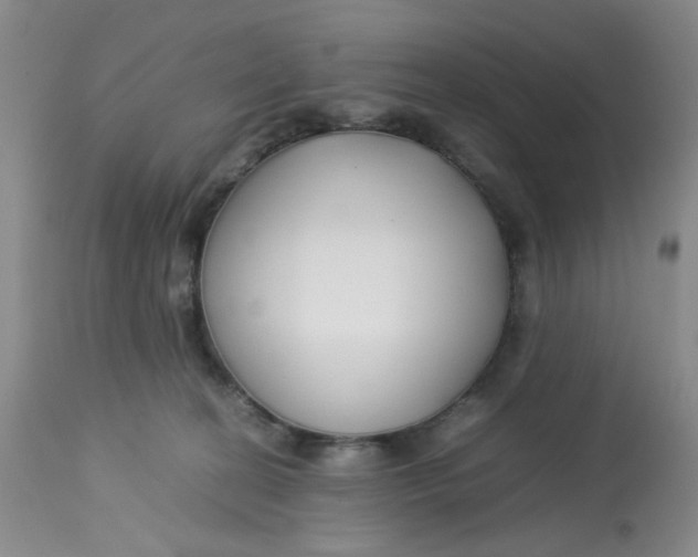 X0000113150274200909251335