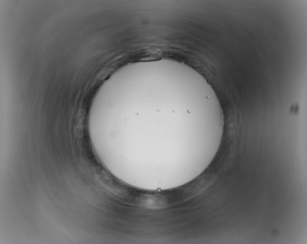 X0000113150275200909251335