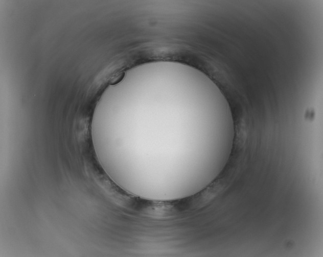 X0000113150278200909251335