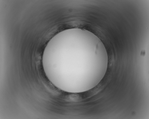 X0000113150279200909251335