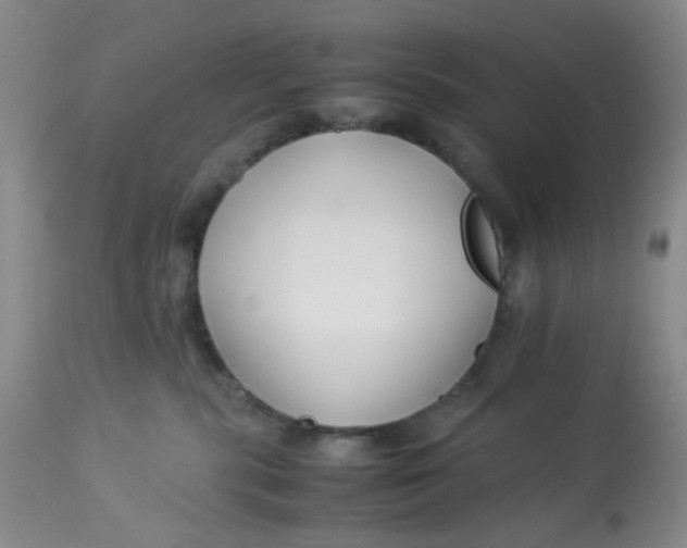 X0000113150283200909251335