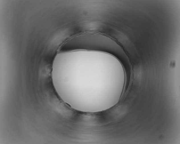 X0000113150284200909251335