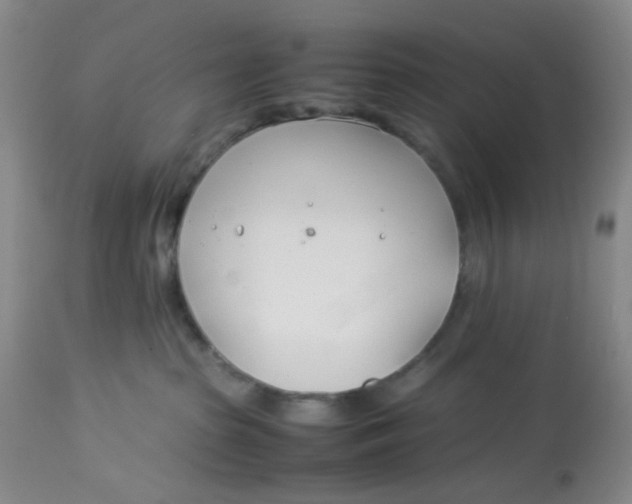 X0000113150285200909251335