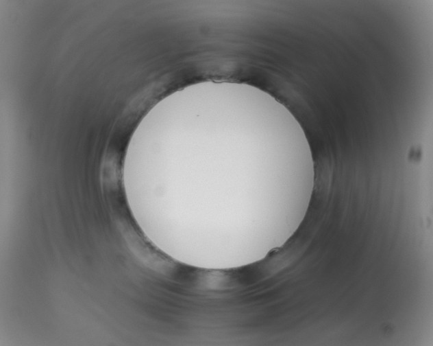 X0000113150287200909251335