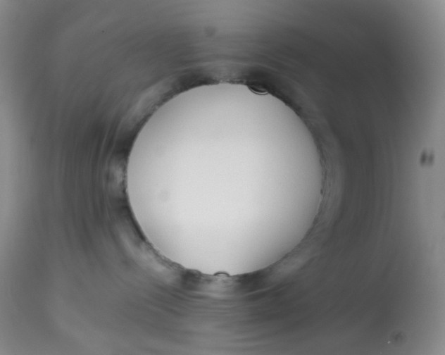 X0000113150288200909251335