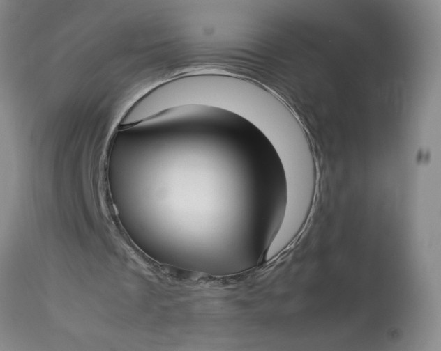 X0000113150289200909251334