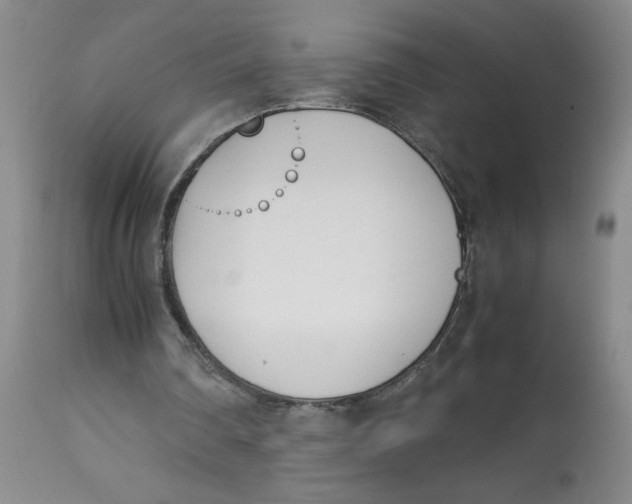 X0000113150290200909251334