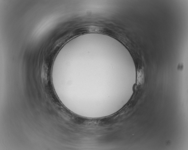 X0000113150291200909251334