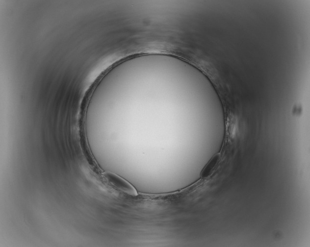 X0000113150292200909251334