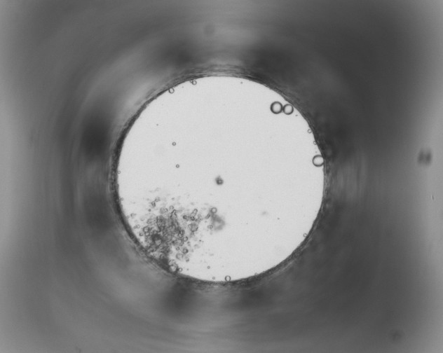 X0000113150293200909251334