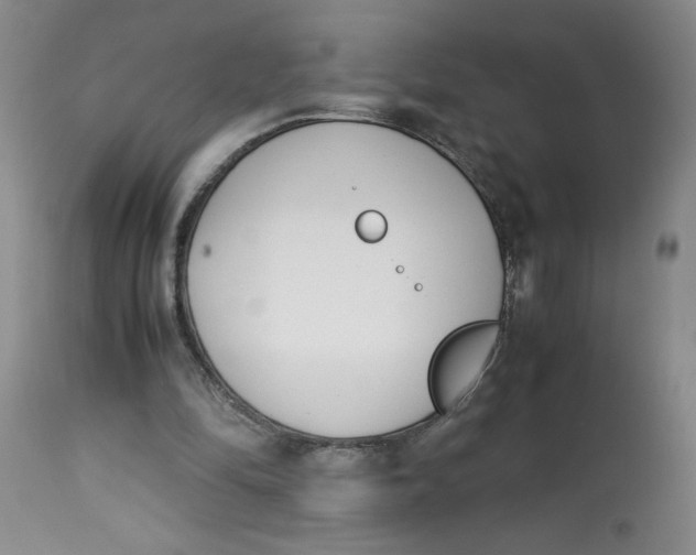 X0000113150294200909251334