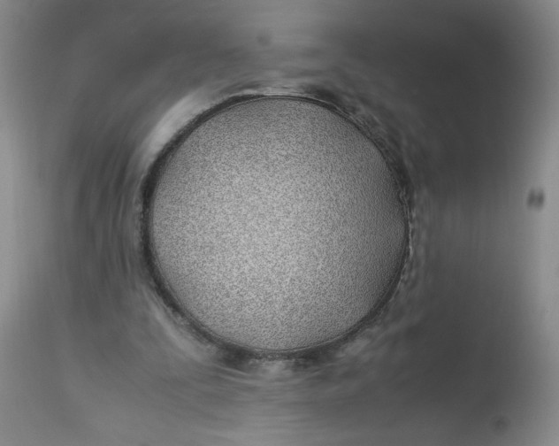 X0000113150295200909251334