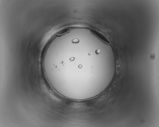 X0000113150296200909251334