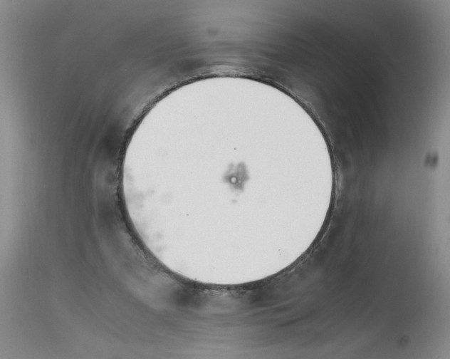 X0000113150297200909251334