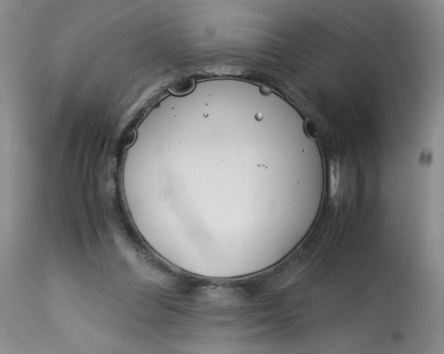 X0000113150300200909251334