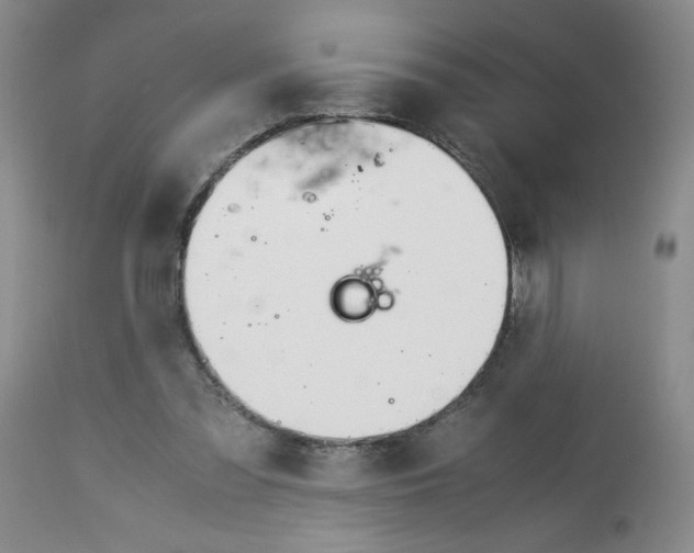 X0000113150301200909251334