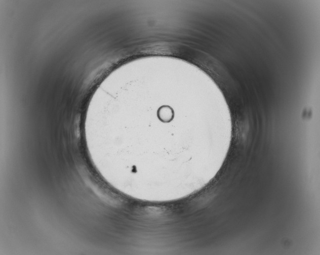 X0000113150302200909251334