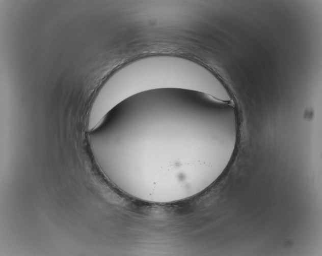 X0000113150305200909251334