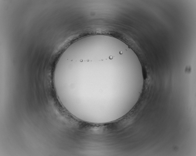 X0000113150306200909251334