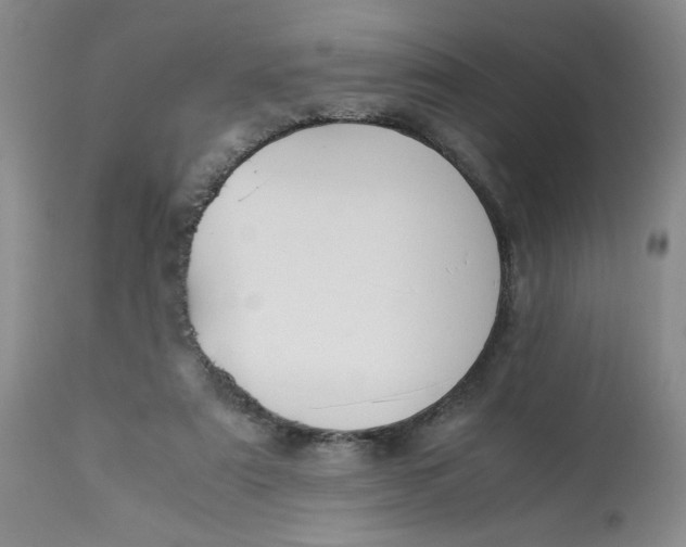 X0000113150307200909251334