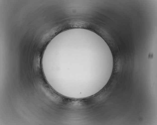 X0000113150310200909251334