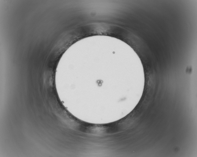 X0000113150313200909251334