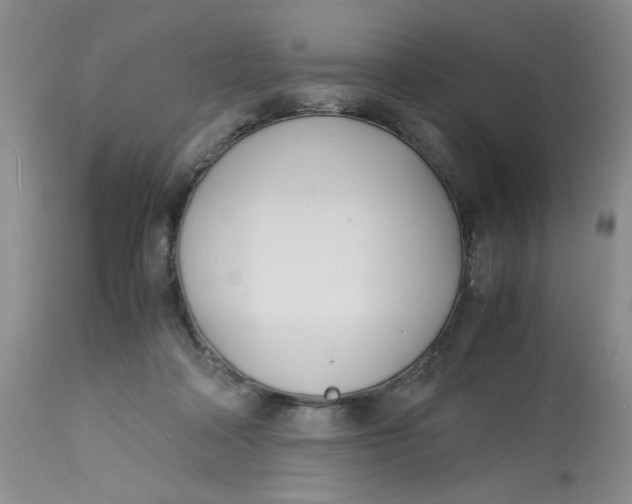 X0000113150314200909251334