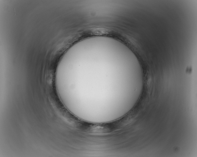 X0000113150315200909251334