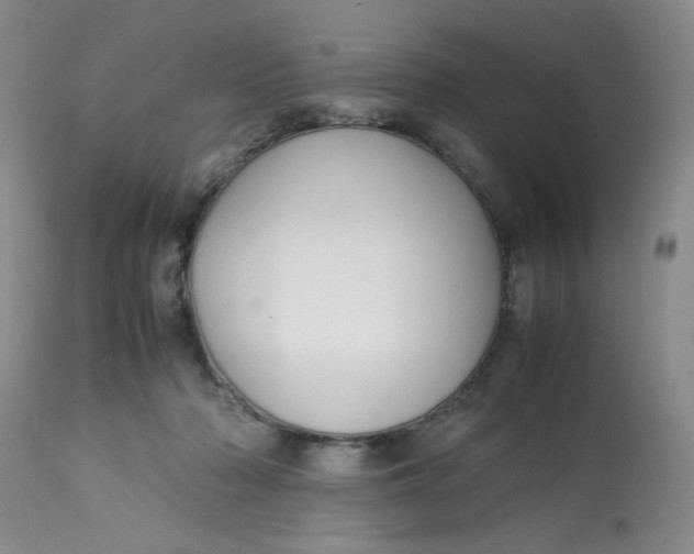 X0000113150318200909251334