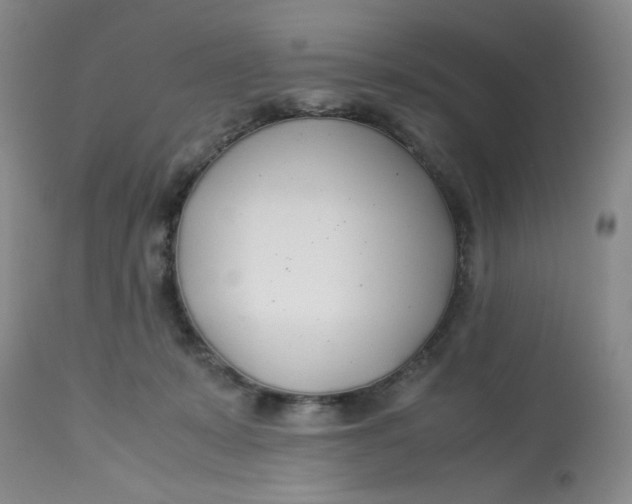 X0000113150319200909251334