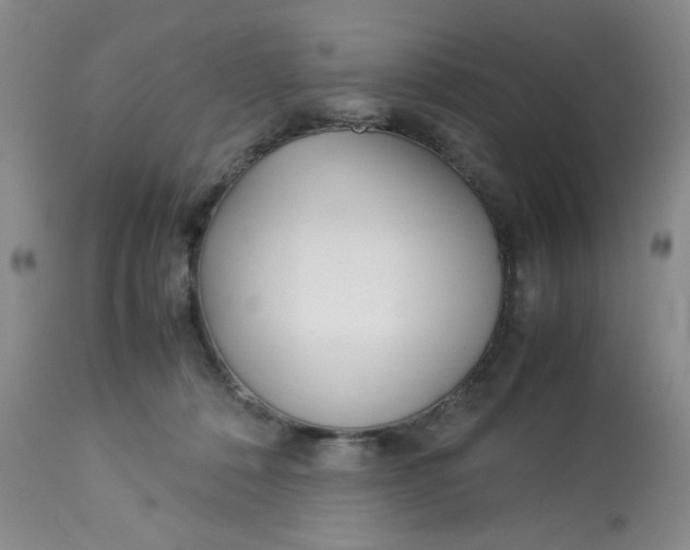 X0000113150320200909251334