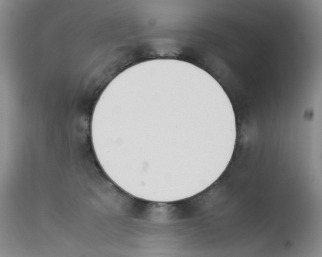 X0000113150321200909251334