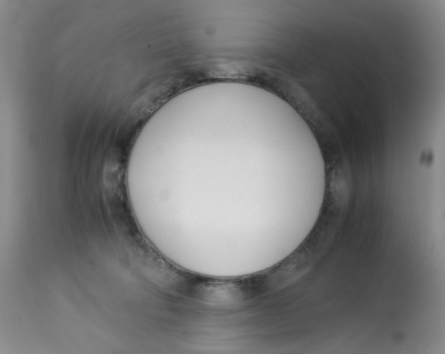 X0000113150322200909251334