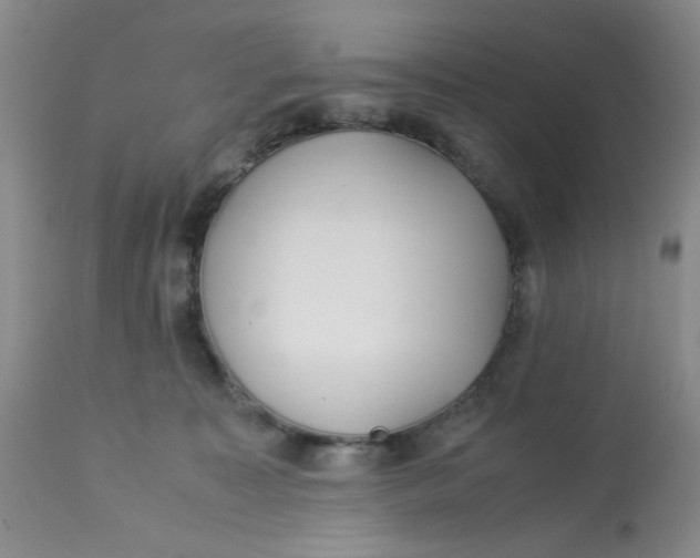 X0000113150323200909251334